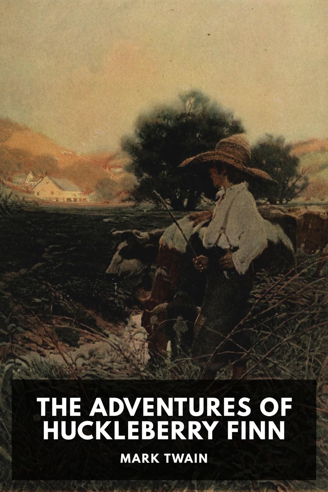 Cover of The Adventures of Huckleberry Finn