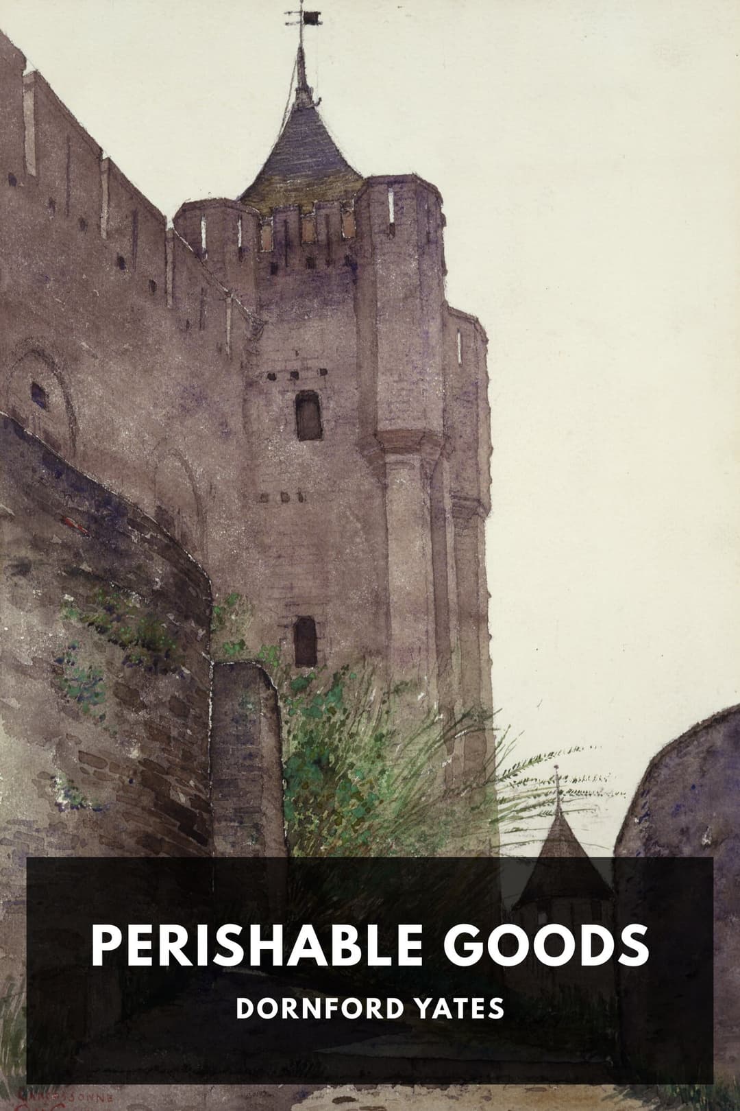 Cover of Perishable Goods